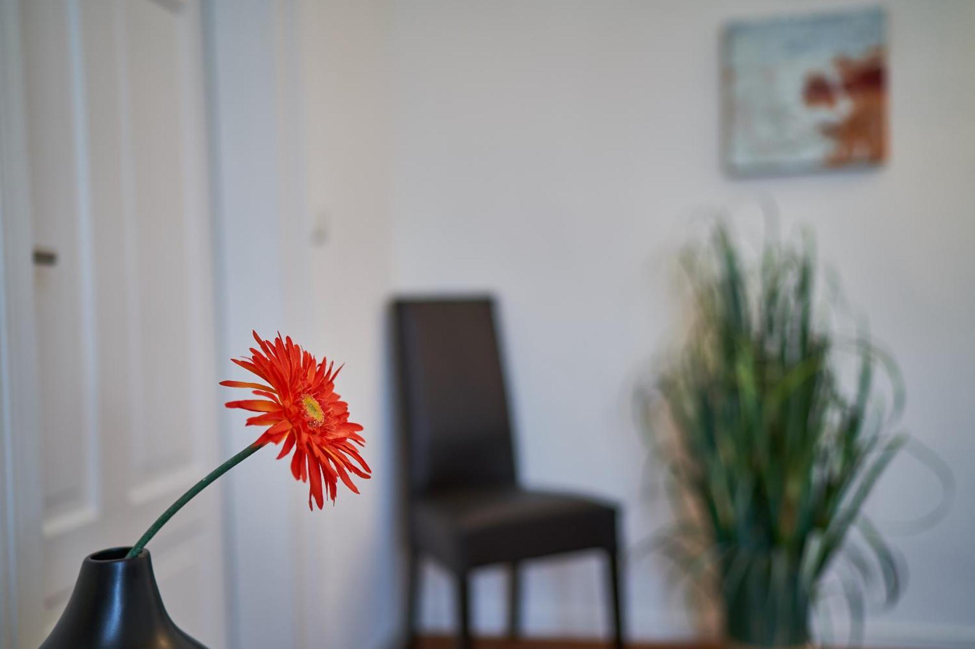 Casa Pinos Διαμέρισμα FDH Εξωτερικό φωτογραφία